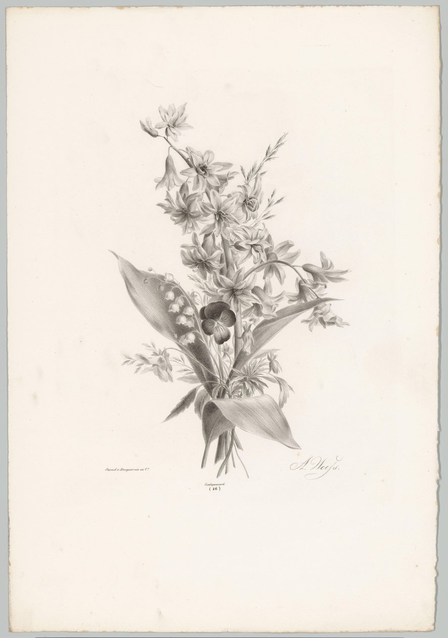 Pensamiento y jacinto y flores en forma de campana Estudios de flores y frutas (...) Décimo episodio (título de la serie) de Anton Weiss