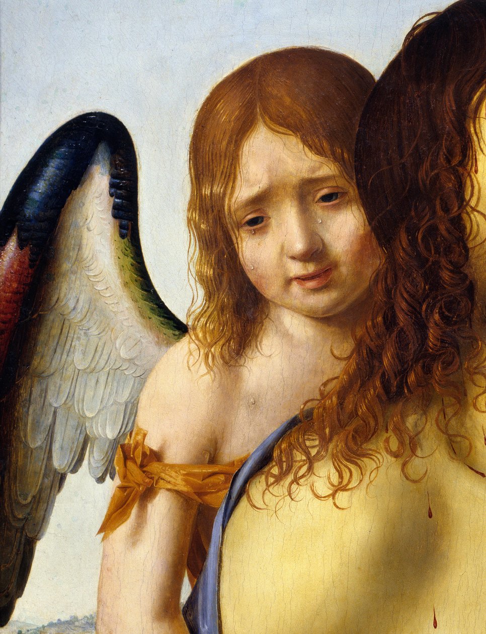 Detalle de 