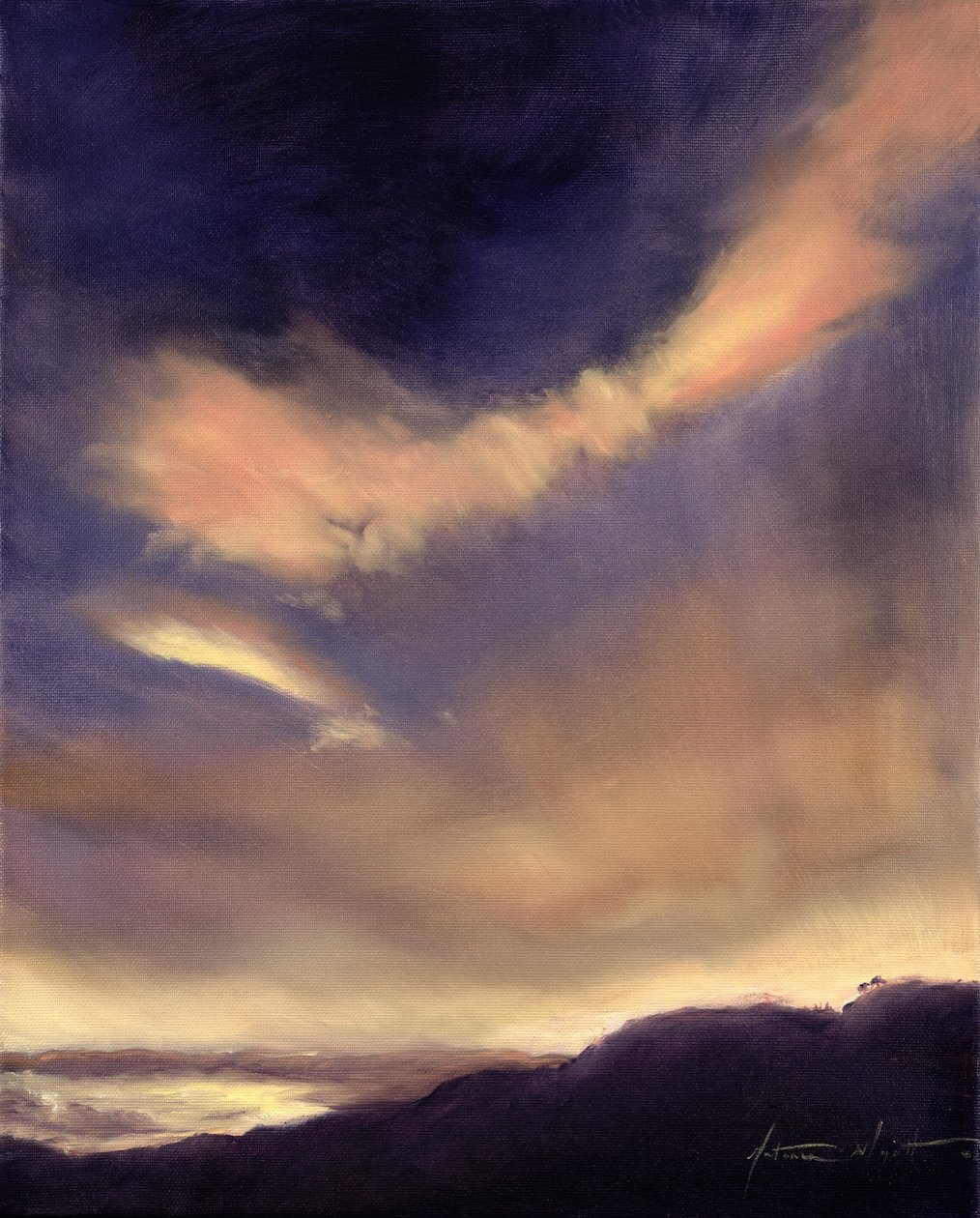 Nubes de Mariposa, 2002 de Antonia Myatt