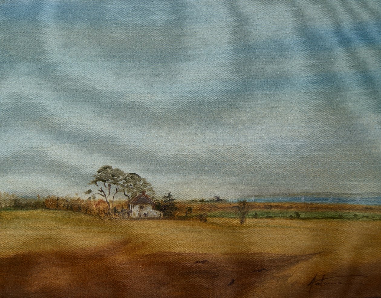 Casa y campos, 2016 de Antonia Myatt