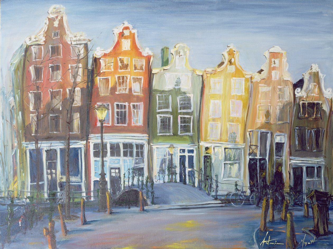 Casas de Ámsterdam, 1999 de Antonia Myatt