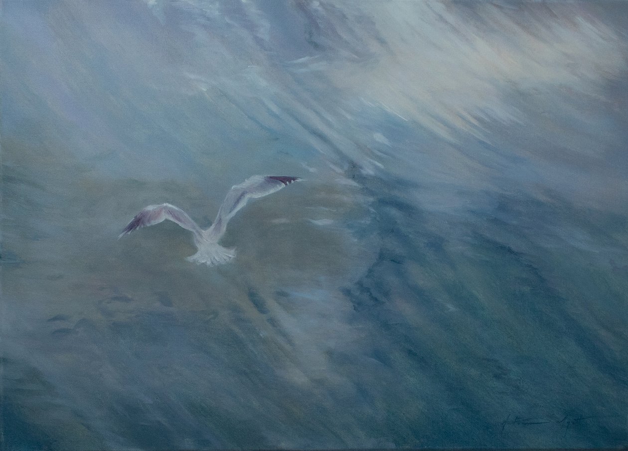 Gaviota volando, 2012 (óleo sobre lienzo) de Antonia Myatt