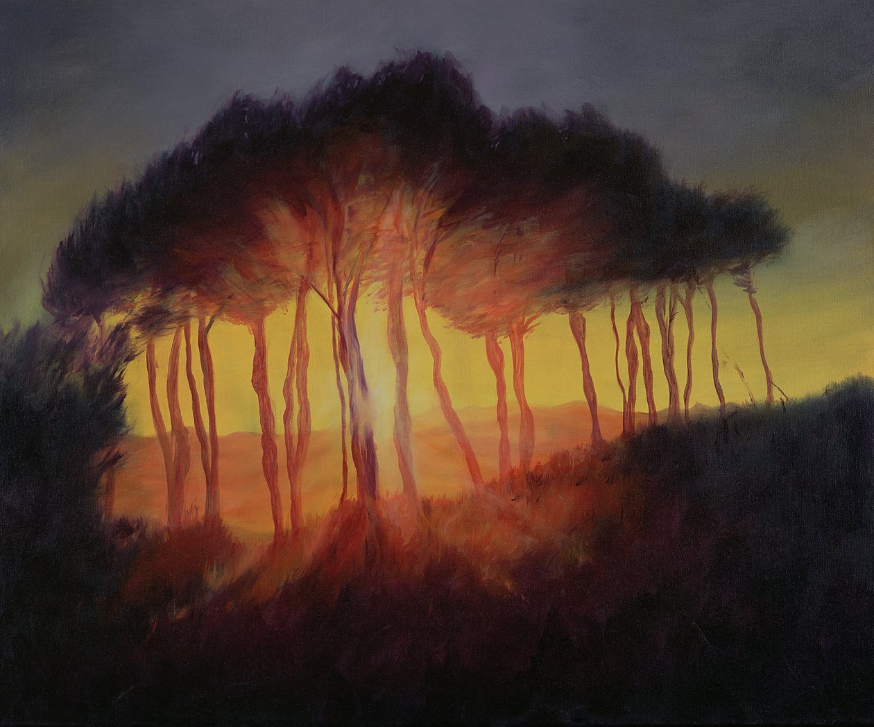 Árboles Salvajes al Atardecer, 2002 de Antonia Myatt