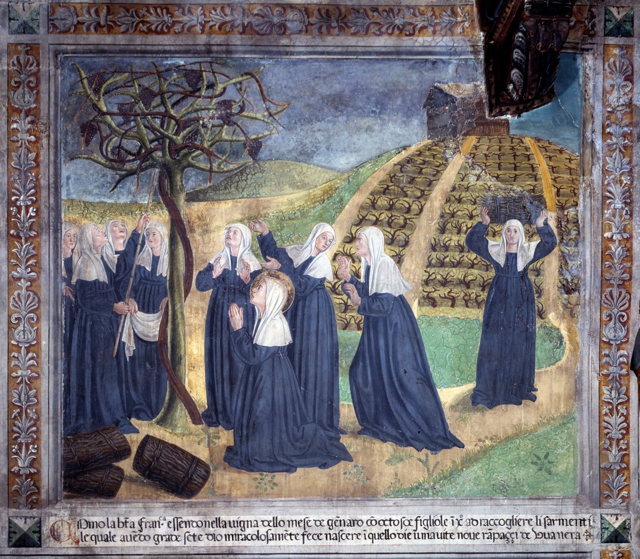 Vida de Santa Francesca Romana: La santa mantiene el viñedo con las hermanas y hace aparecer uvas en enero (fresco) de Antoniazzo Romano