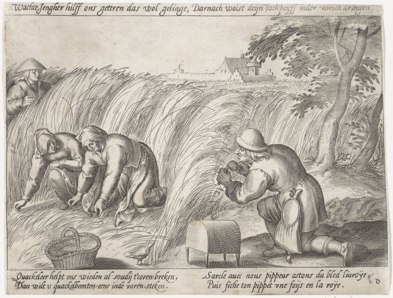 deshierbe en la tierra Grano en crecimiento (título de la serie) de Antonie Wierix (II) (possibly)