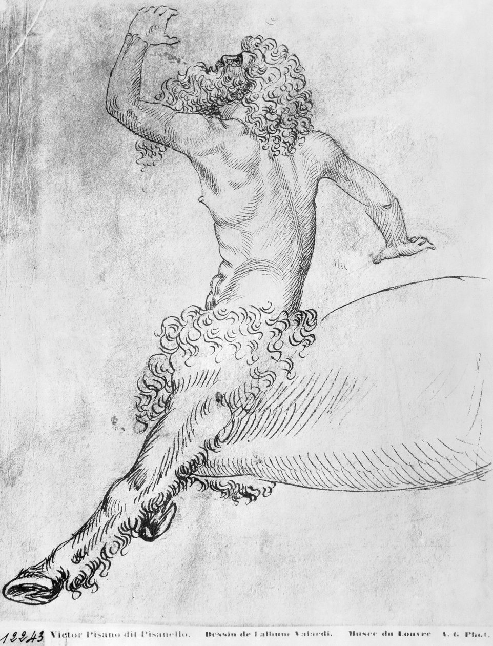 Centauro, del Álbum Vallardi de Antonio Pisanello