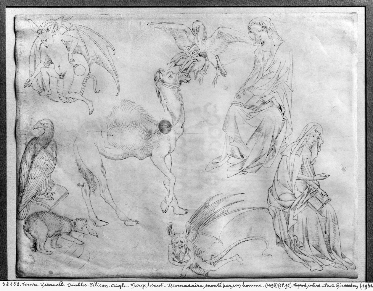 Hoja de estudios, del Álbum Vallardi de Antonio Pisanello