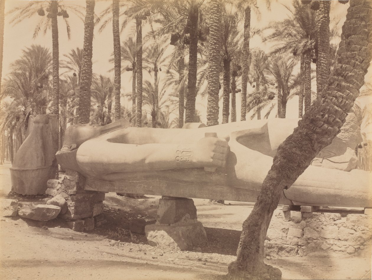 Statue of Ramesses at Saqqara de Antonio Beato