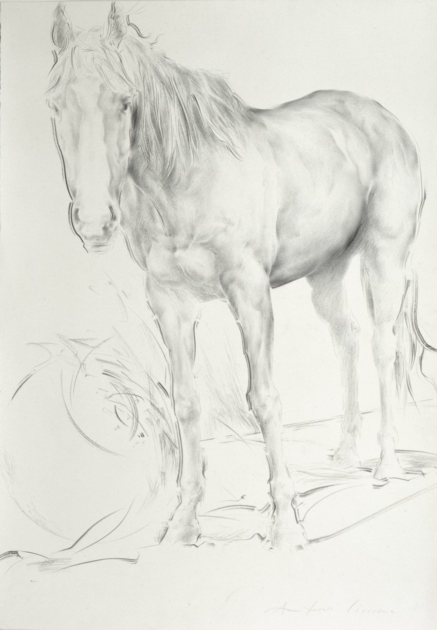 Caballo en Coolmore, 1990 de Antonio Ciccone