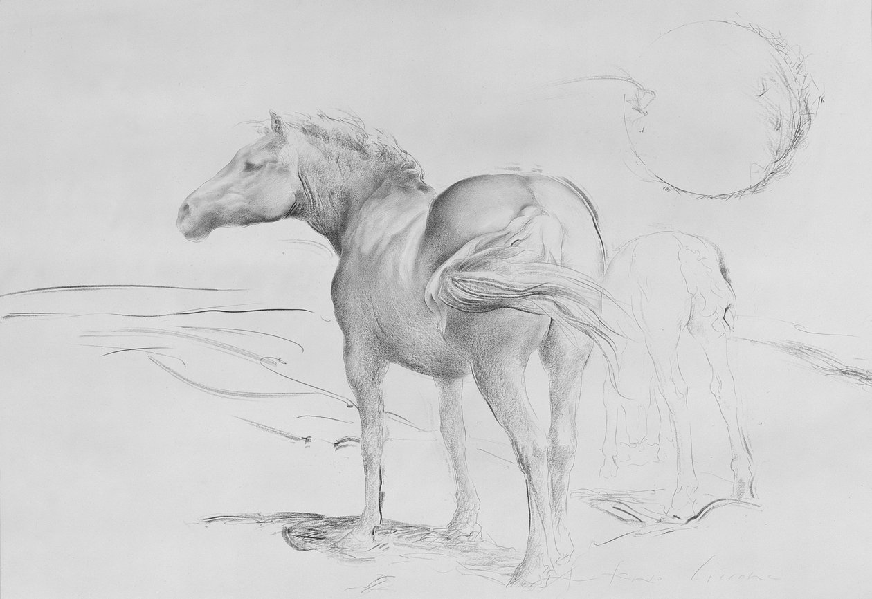 Caballos en Coolmore, 1990 de Antonio Ciccone
