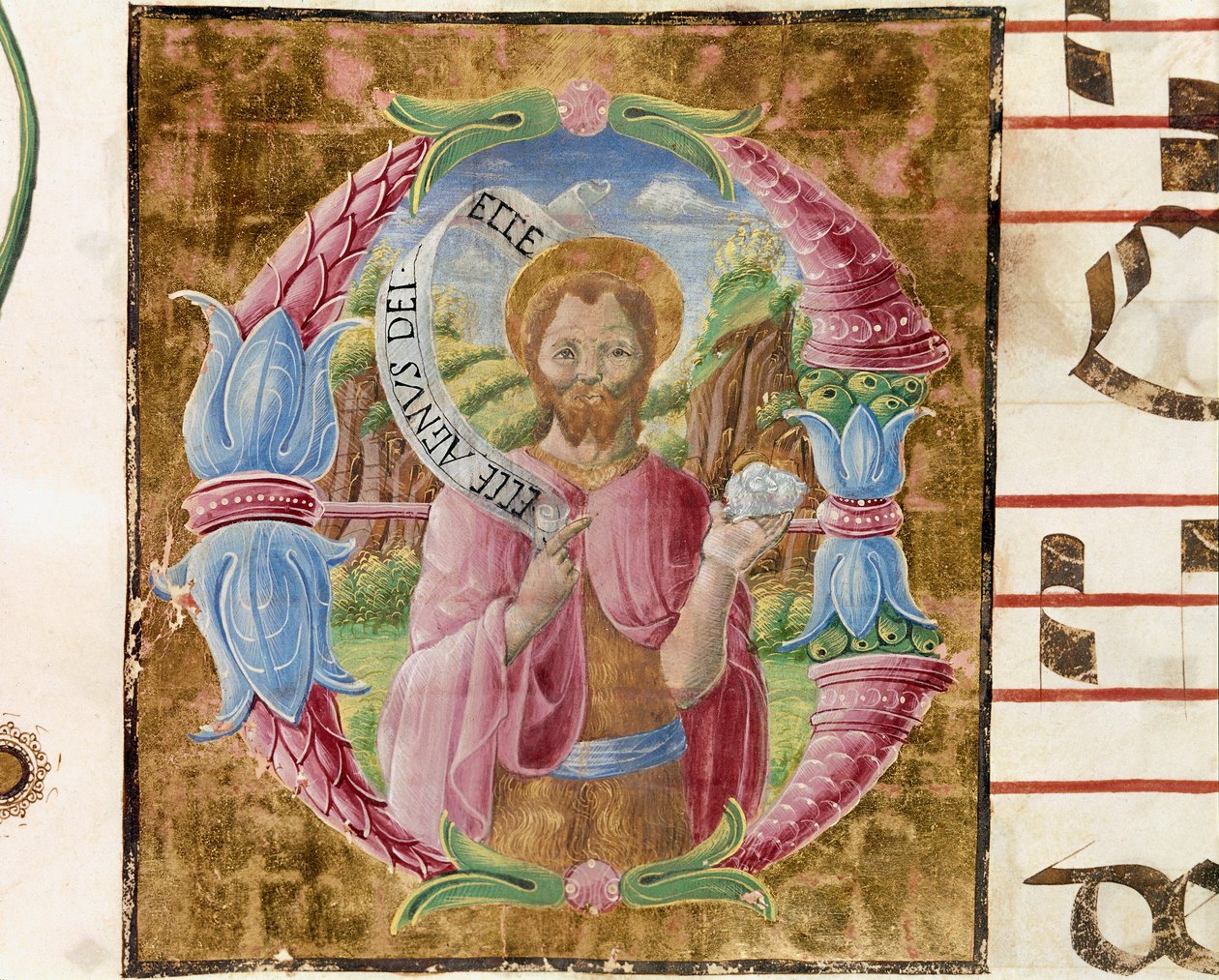 San Juan Bautista. Letra iluminada por Antonio Cicognari. Detalle de un antifonario. 1483. Cremona, coral 4, capítulo del duomo de Antonio Cicognara
