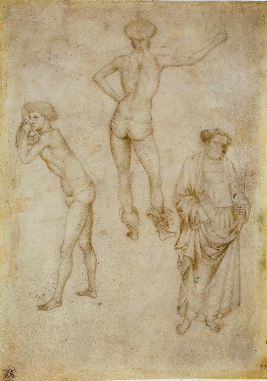Estudios de dos figuras masculinas y San Pedro. Dibujo de Antonio Pisanello de Antonio Pisanello