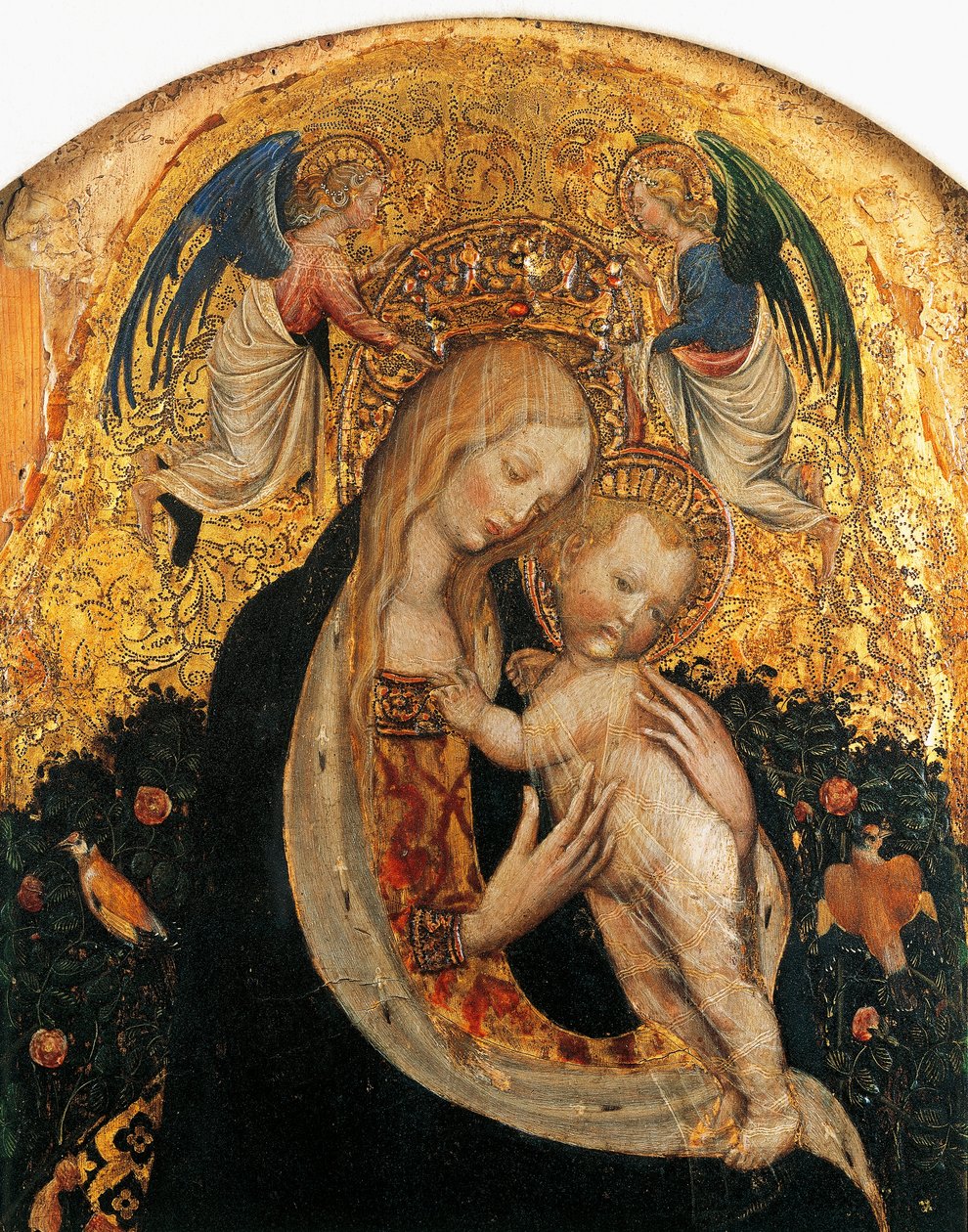 Madonna de la codorniz (detalle) de Antonio Pisanello