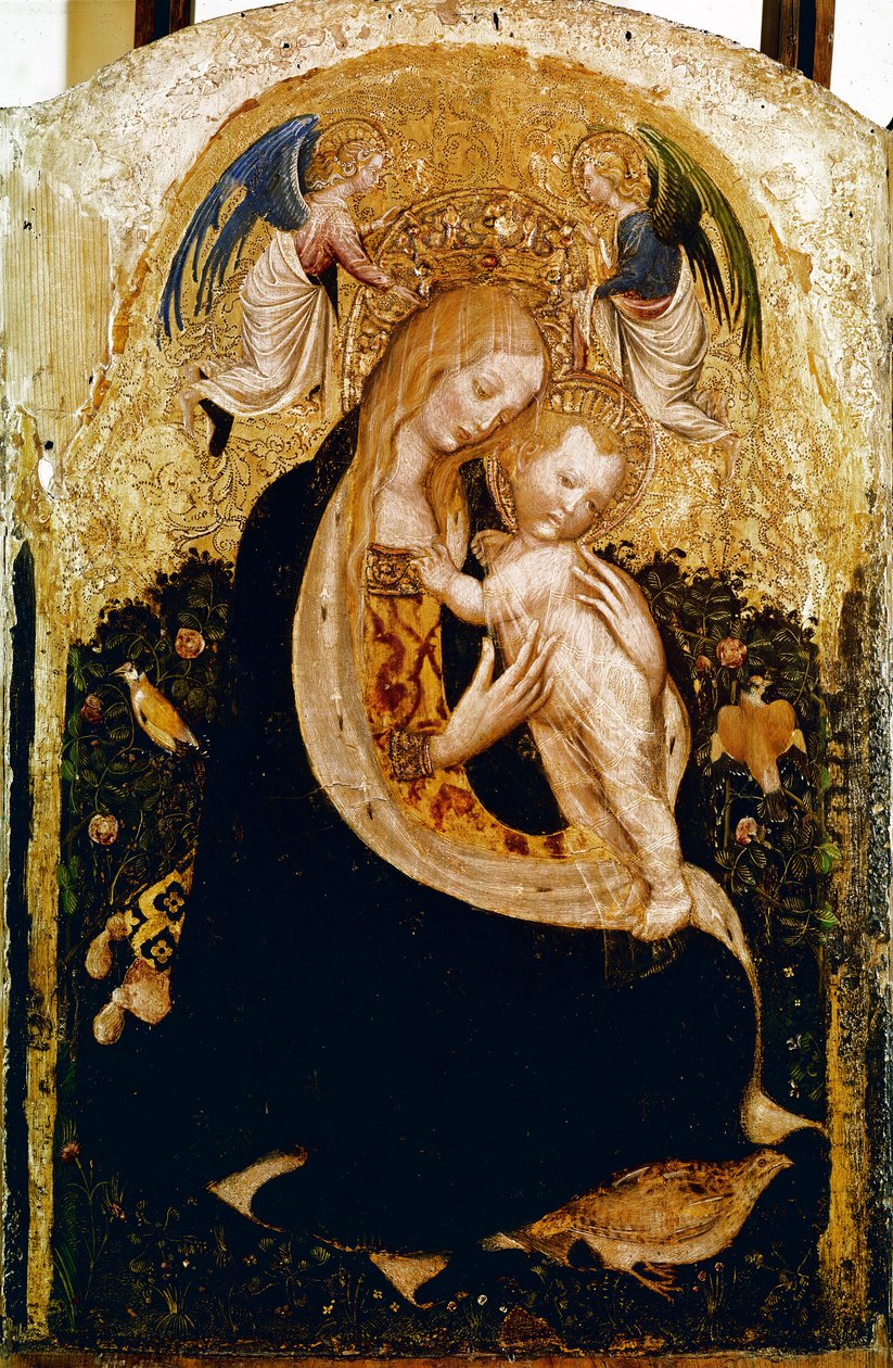 La Madonna con codorniz de Antonio Pisanello