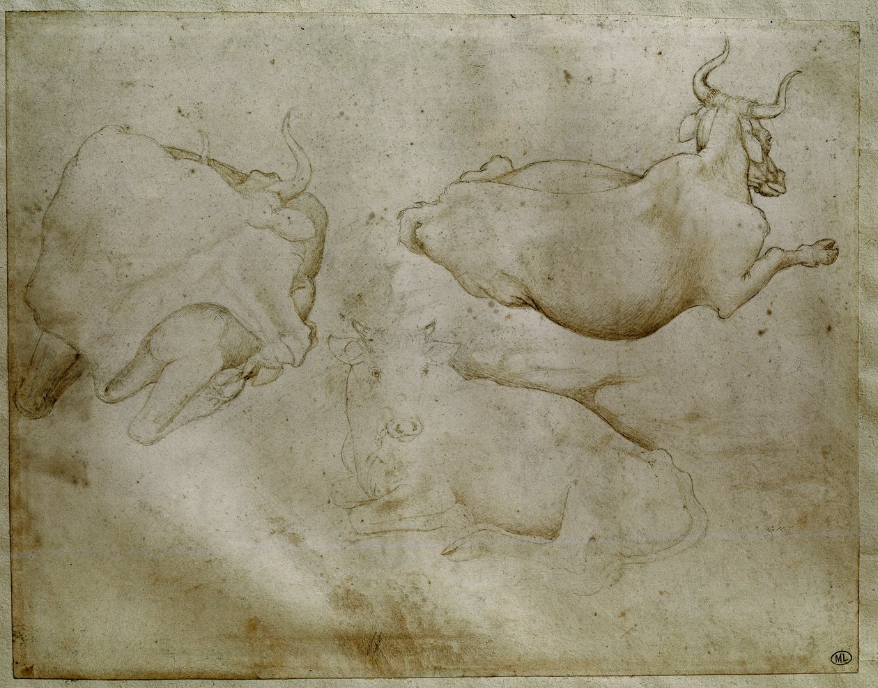 Dos vacas y un enebro. Dibujo de Antonio di Puccio Pisano, conocido como Pisanello (1395-1455). Louvre, Gabinete de medallas de Antonio Pisanello