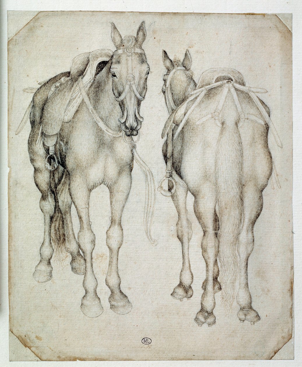 Dos arneses, vistos tres cuartos, uno desde el frente y el otro desde atrás. Dibujo de Pisano Antonio di Puccio dit Pisanello (1395-1455) de Antonio Pisanello