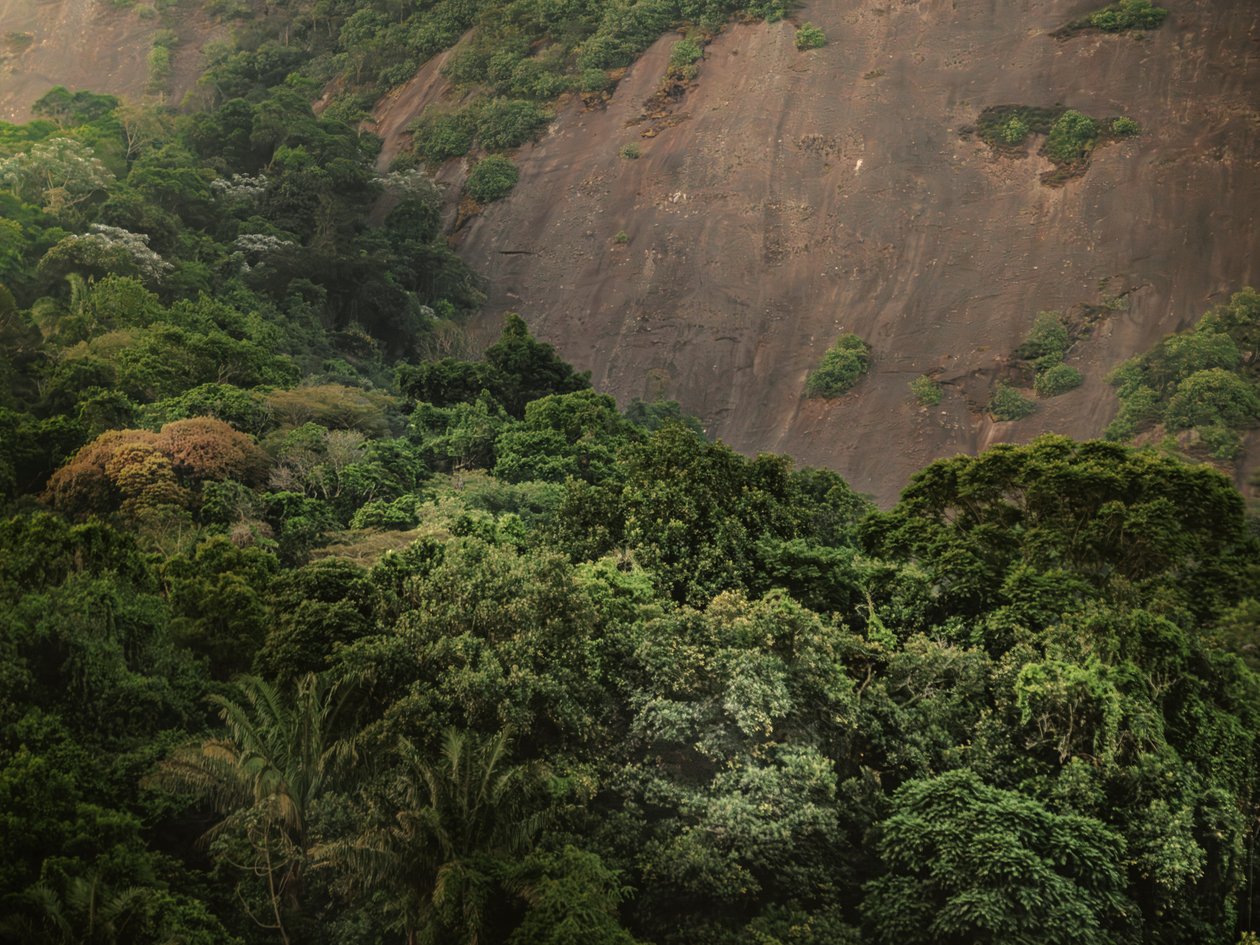 Corcovado XV, 2020 (fotografía digital) de Antonio Schubert