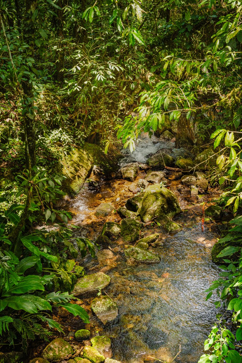 Cresta de la Mantiqueira, 2021 (foto) de Antonio Schubert