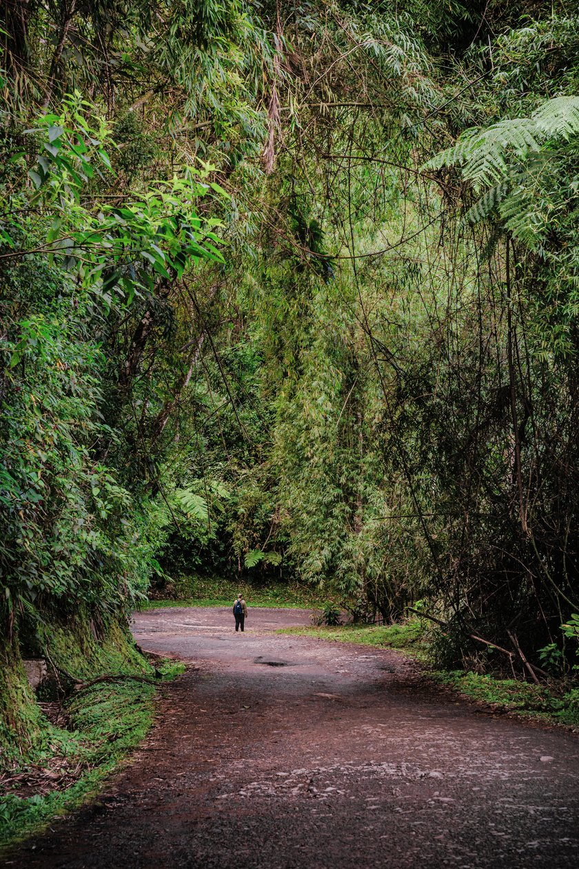 Mantiqueira XLIII, 2015 (fotografía digital) de Antonio Schubert