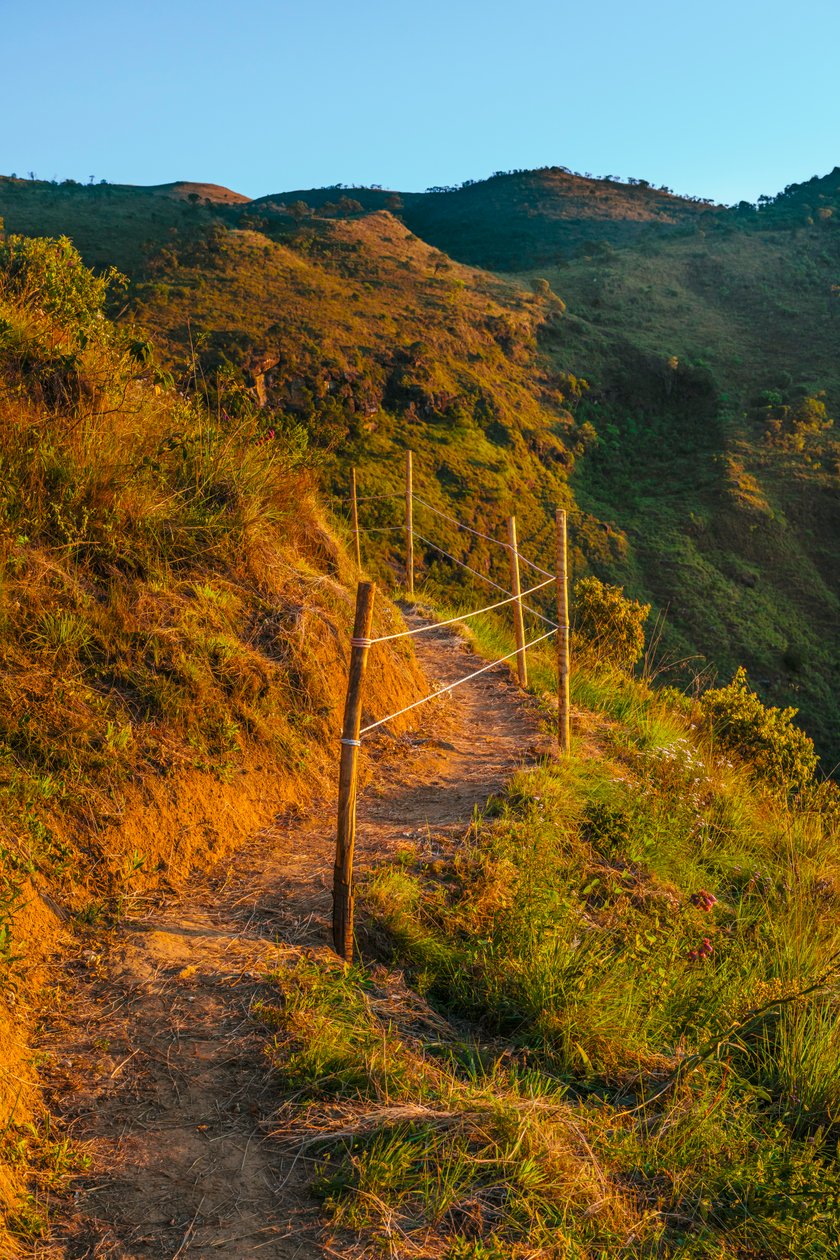 Sendero, 2023 (fotografía digital) de Antonio Schubert