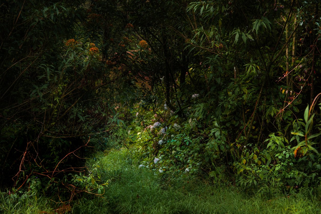 Trails, 2015 (foto digital) de Antonio Schubert