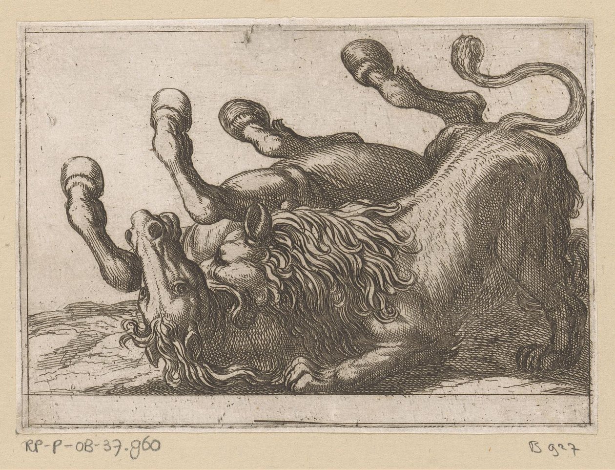 Un león muerde el cuello de un caballo Animales de pelea (título de la serie) de Antonio Tempesta