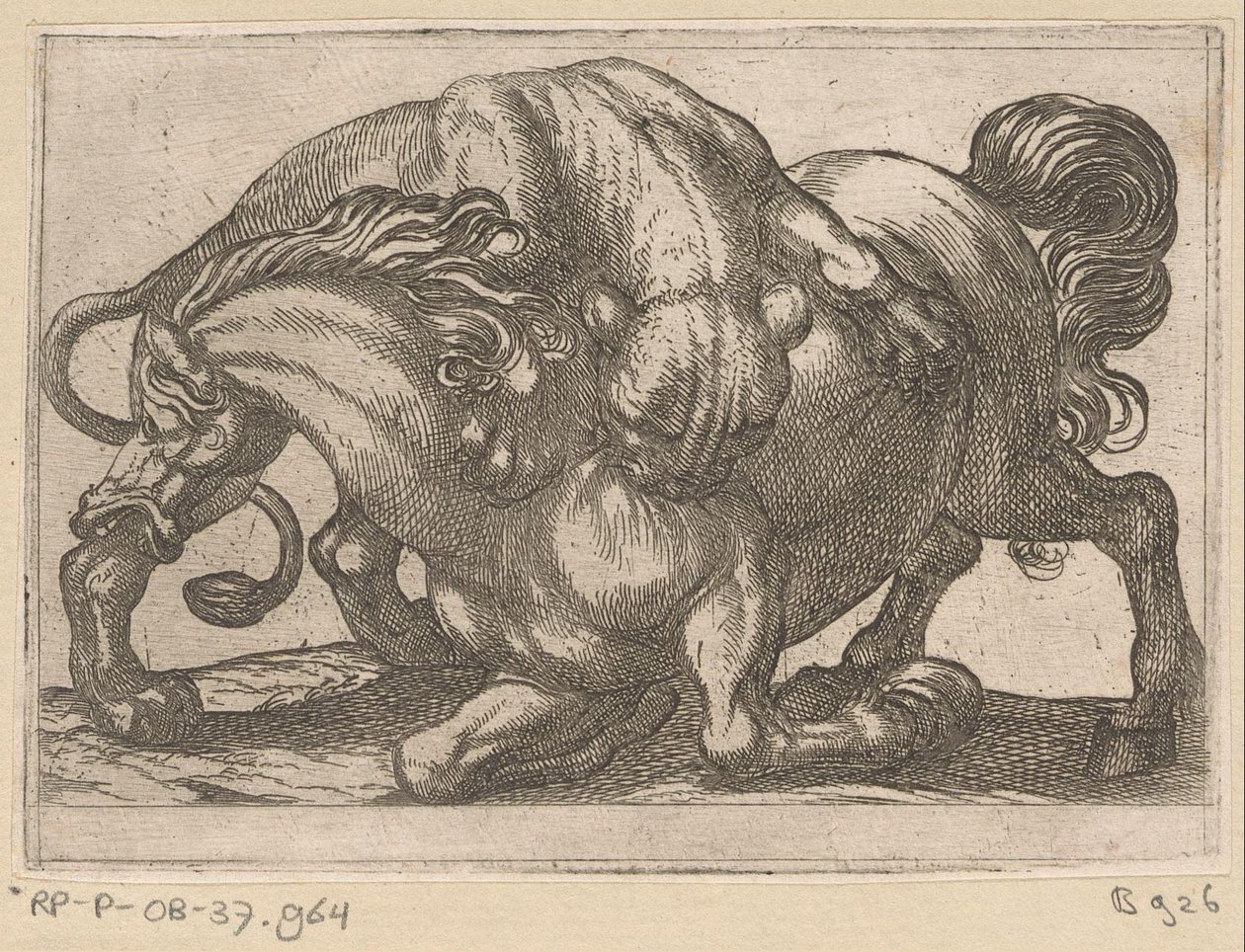 Una leona atacando a un caballo. Animales de pelea (título de la serie) de Antonio Tempesta