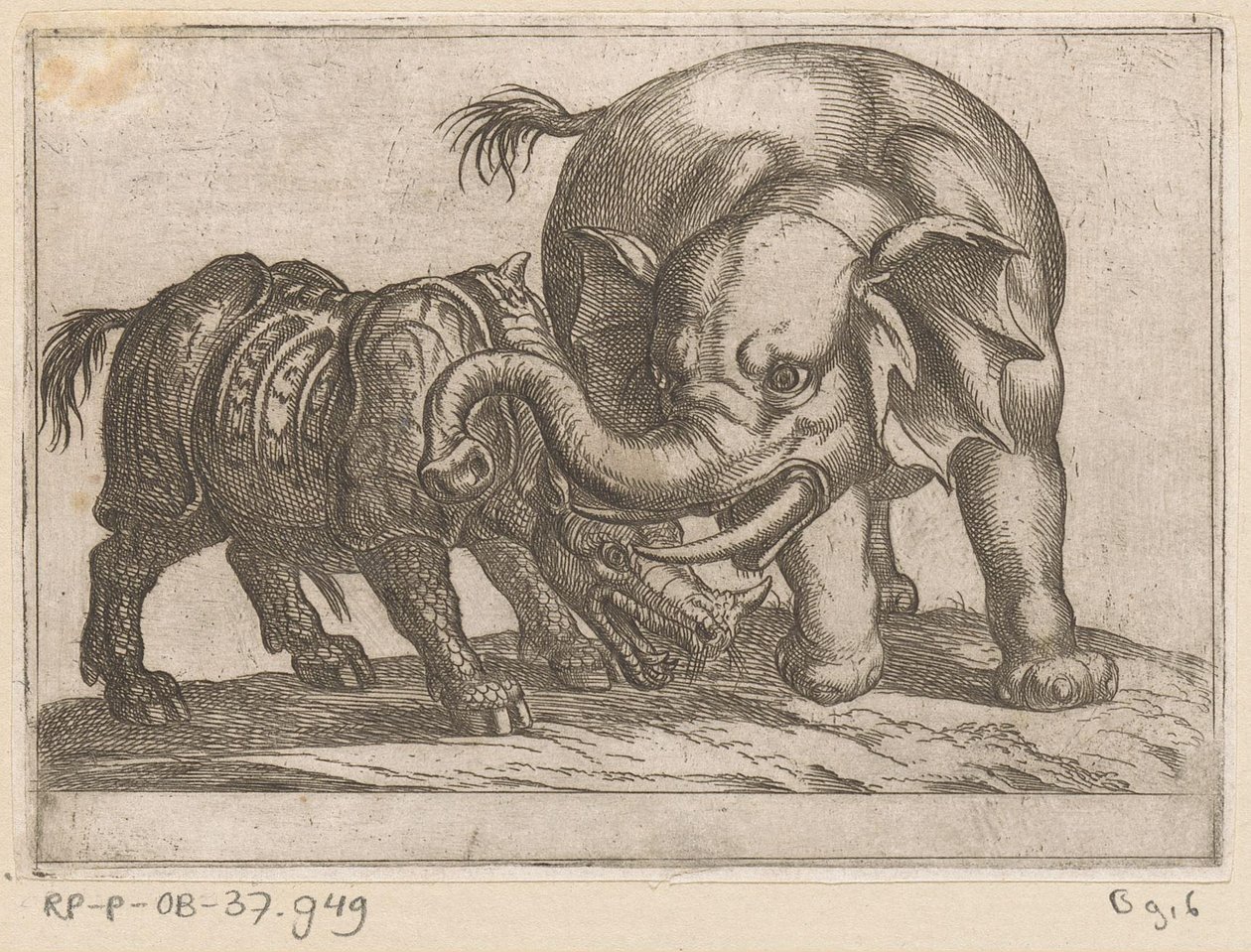 Un rinoceronte lucha contra un elefante. Animales de pelea (título de la serie) de Antonio Tempesta