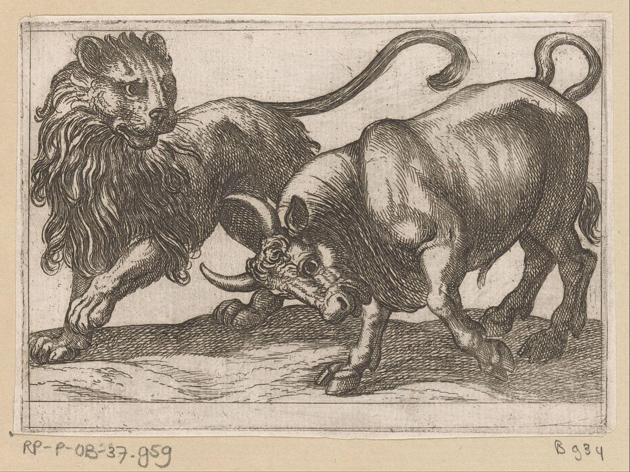 Un toro atacando a un león Animales de pelea (título de la serie) de Antonio Tempesta