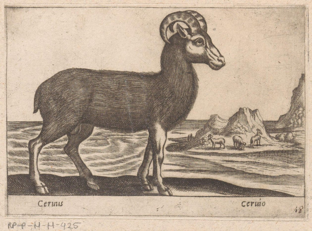 Gemas Cerinis / Ceruio (título sobre objeto) Dieren en fabelwezens (título de la serie) Colección Nova de los animales más curiosos del mundo (título de la serie) de Antonio Tempesta