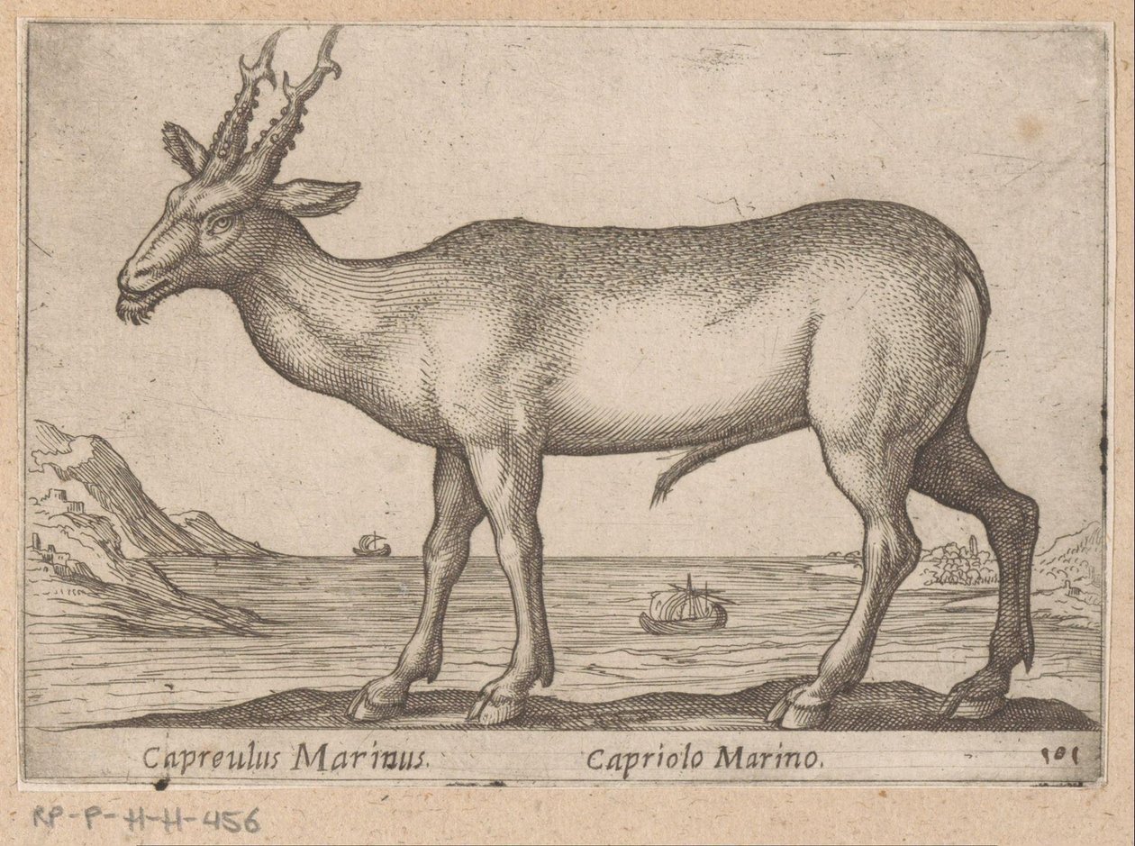 Hert
Capreulus Marinus/ Capreulus Marinus (título del objeto)
Dieren en fabelwezens (título de la serie)
Nova raccolta de li animali più curiosi del mondo (título de la serie) de Antonio Tempesta
