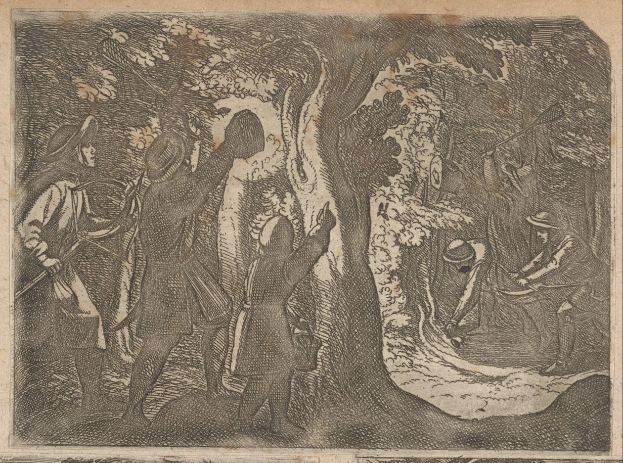 Los cazadores atrapan pájaros de noche. Escenas de caza (parte 2) (título de la serie) Primo libro di caccie varie (título de la serie) de Antonio Tempesta