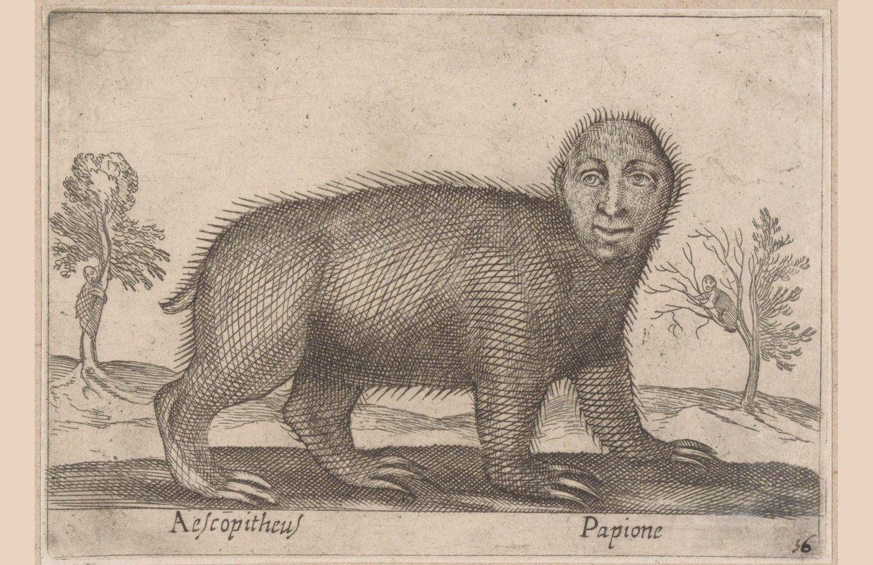 Ranura Aescopitheus/ Papione (título sobre objeto) Animales y criaturas míticas (título de serie) Nova raccolta de li animali piu curiosi del mondo (título de la serie) de Antonio Tempesta