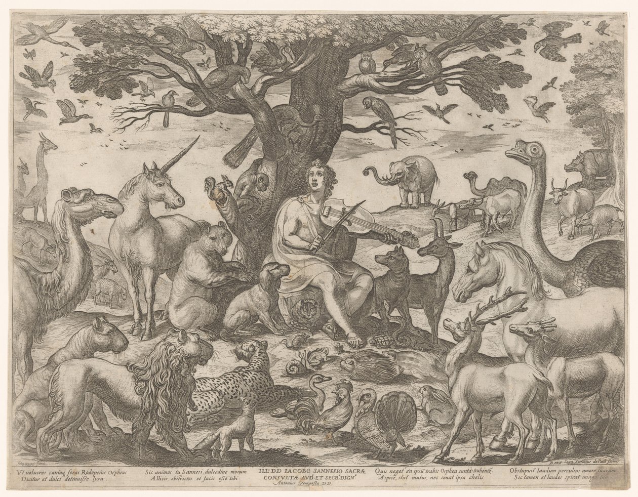 Orfeo encanta a los animales con su música de Antonio Tempesta