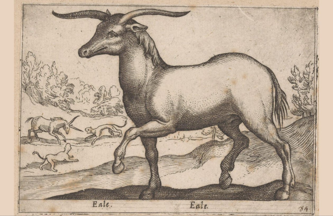 caballo con cuernos Eale/Eale (título sobre objeto) Animales y criaturas míticas (título de serie) Nova raccolta de li animali piu curiosi del mondo (título de la serie) de Antonio Tempesta