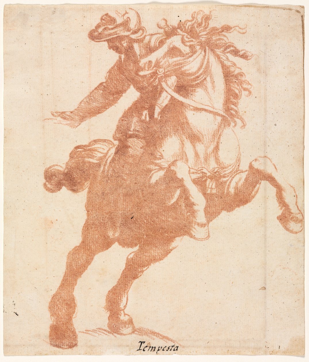 Steigendes Pferd und Reiter de Antonio Tempesta