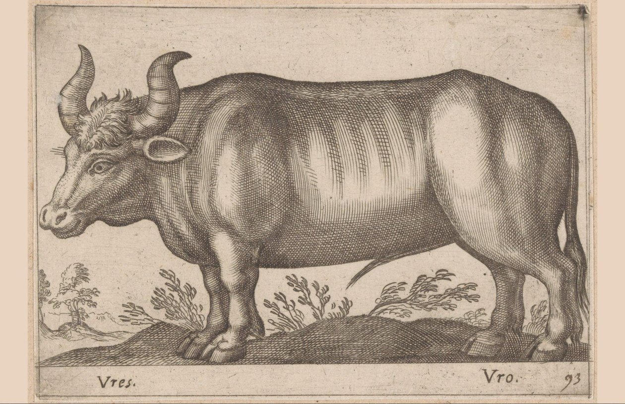 Redondo Vres/ Vro (título sobre objeto) Animales y criaturas míticas (título de serie) Nova raccolta de li animali piu curiosi del mondo (título de la serie) de Antonio Tempesta