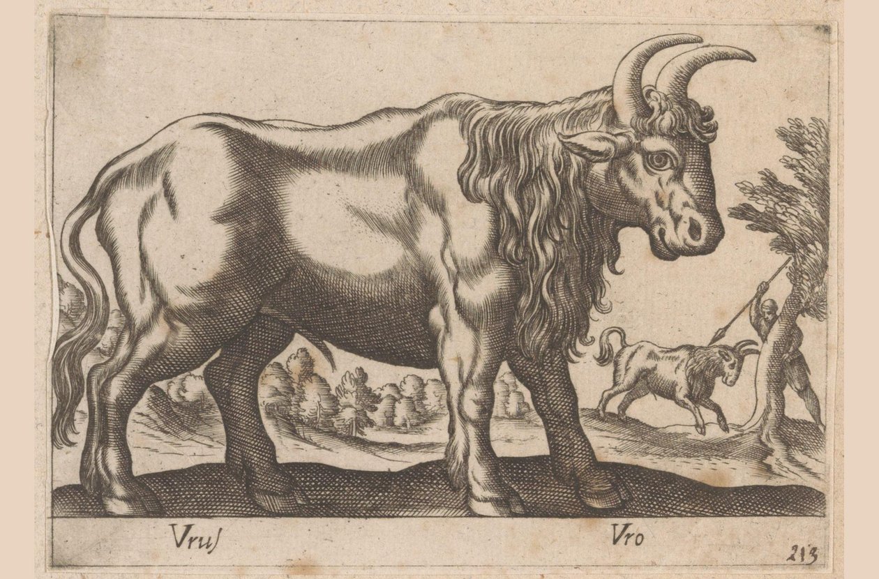 Toro Vrus/ Vro (título en objeto) Dieren en fablewezens (título de la serie) Nueva colección de los animales más curiosos del mundo (título de serie) de Antonio Tempesta