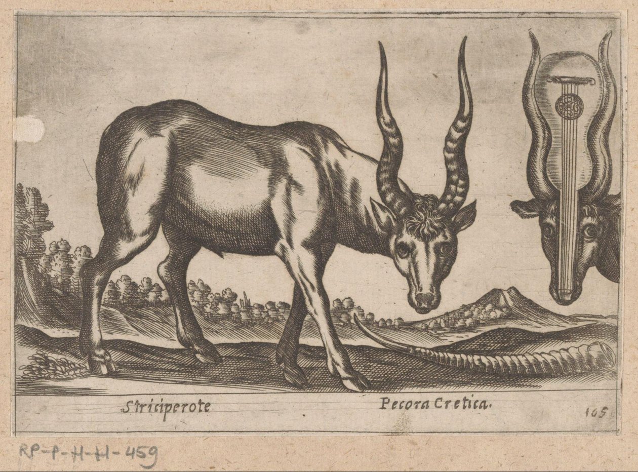 dos antílopes Striciperote/ Ganado cretense (título sobre el objeto) Dieren en fablewezens (título de la serie) Nova raccolta de li animali piu curiosi del mondo (título de la serie) de Antonio Tempesta