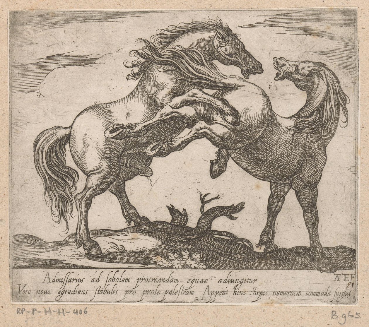 Twee parende paarden Paarden uit verschiedelde landen (título de la serie) Con estos líderes serás celebrado como un líder con boca de viroru. de Antonio Tempesta
