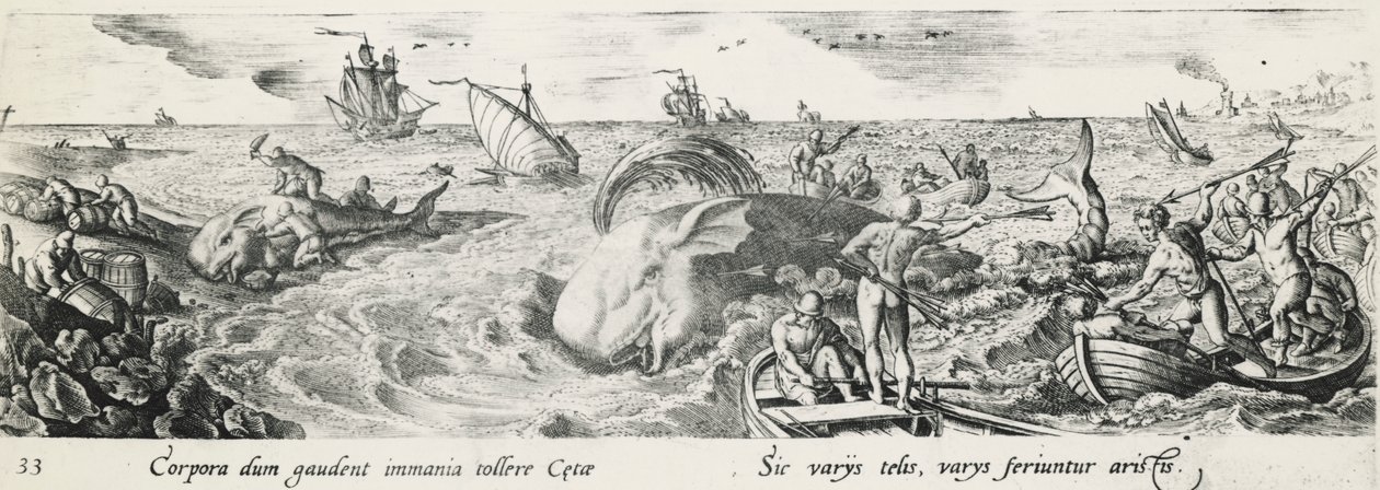 Caza de ballenas, de Antonio Tempesta (1555-1630), grabado, Italia de Antonio Tempesta