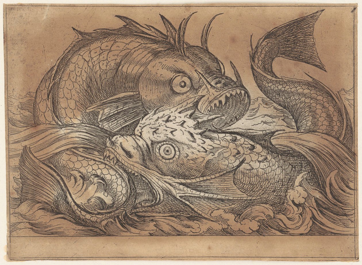 Dos peces luchando de Antonio Tempesta