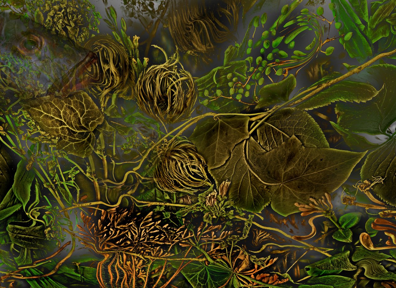  de Antonius Antonius