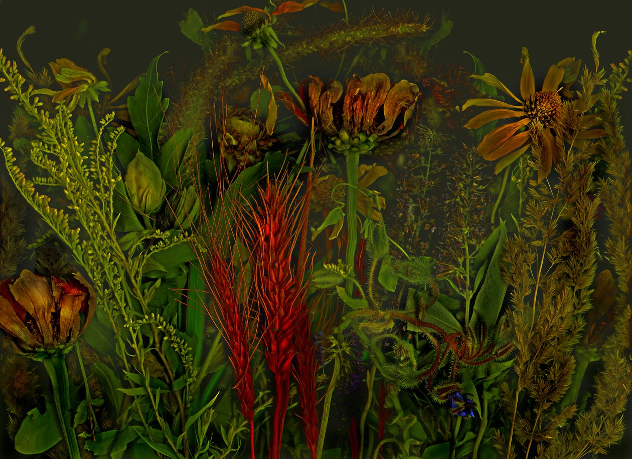  de Antonius Antonius