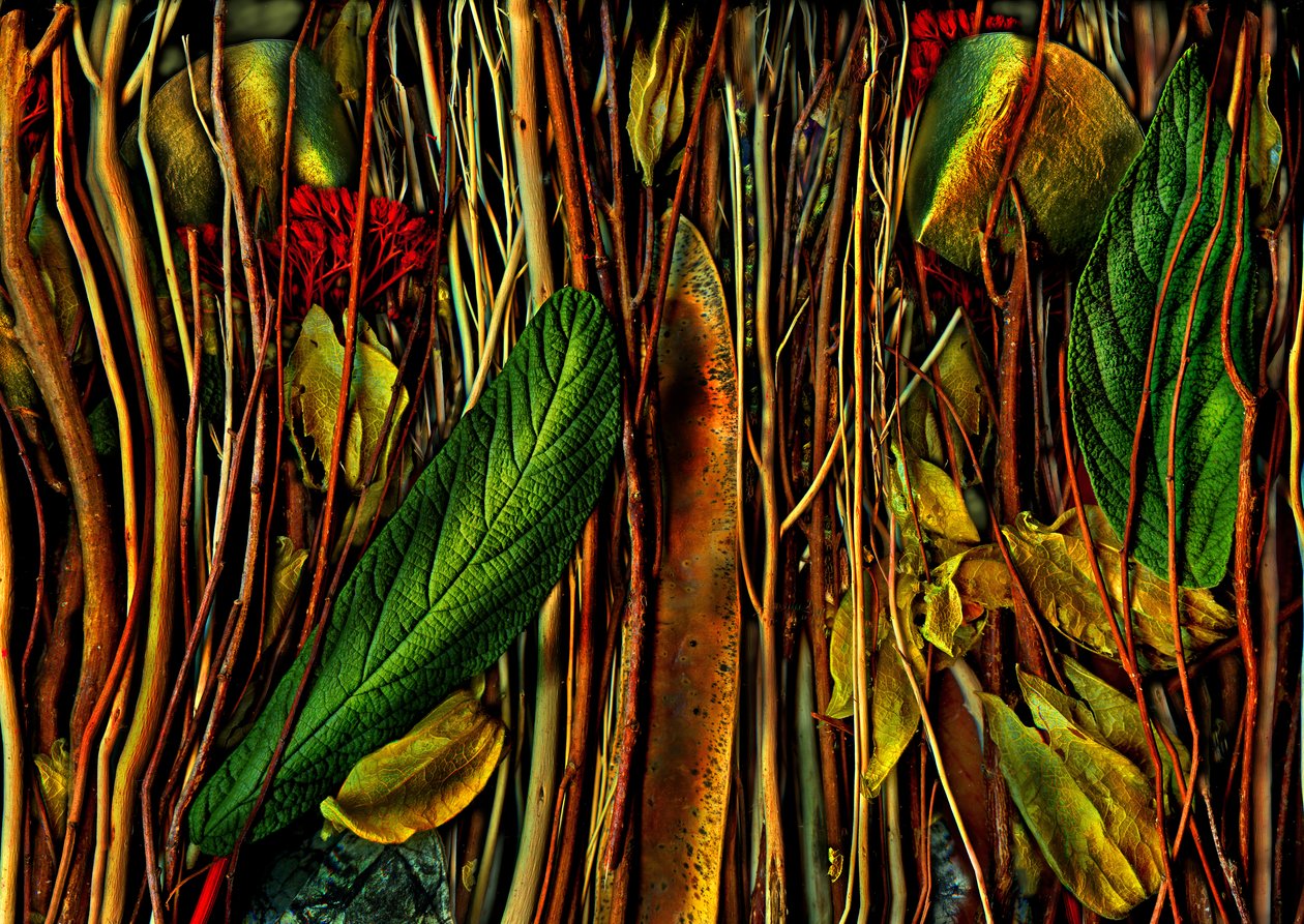  de Antonius Antonius