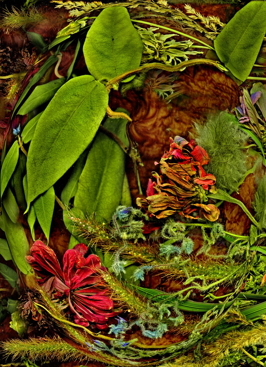  de Antonius Antonius