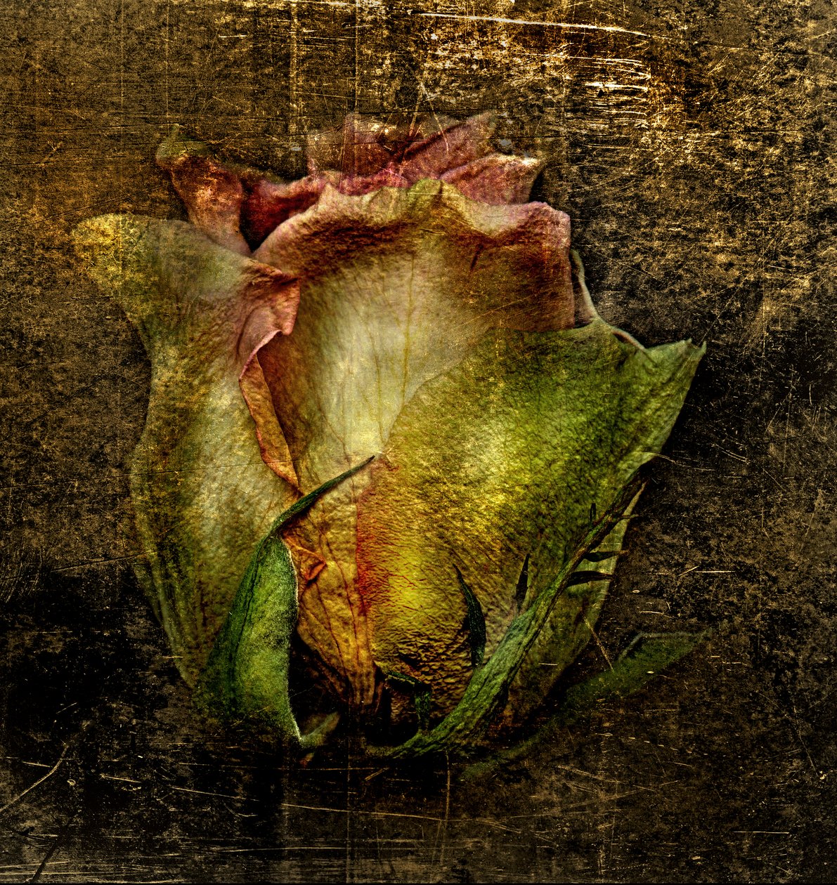  de Antonius Antonius