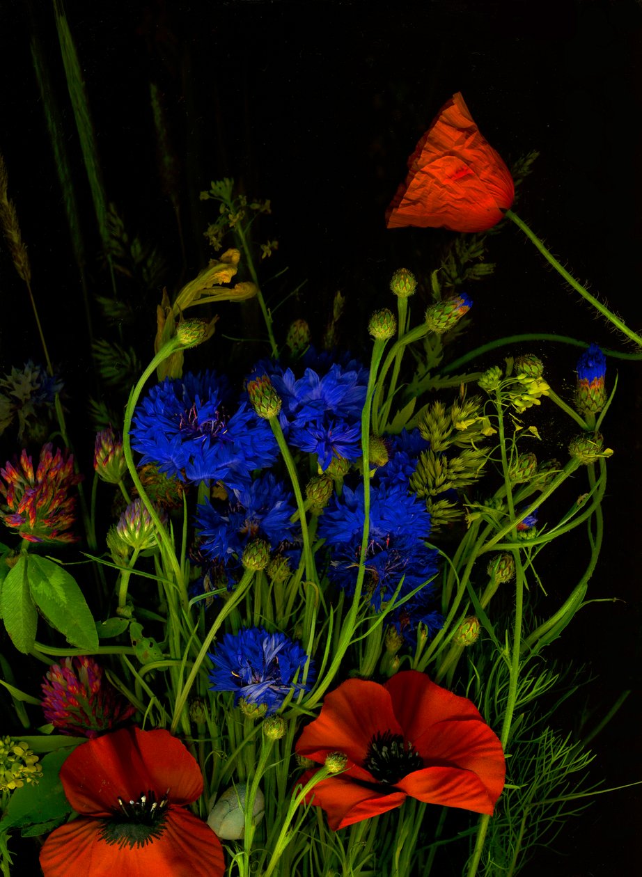  de Antonius Antonius