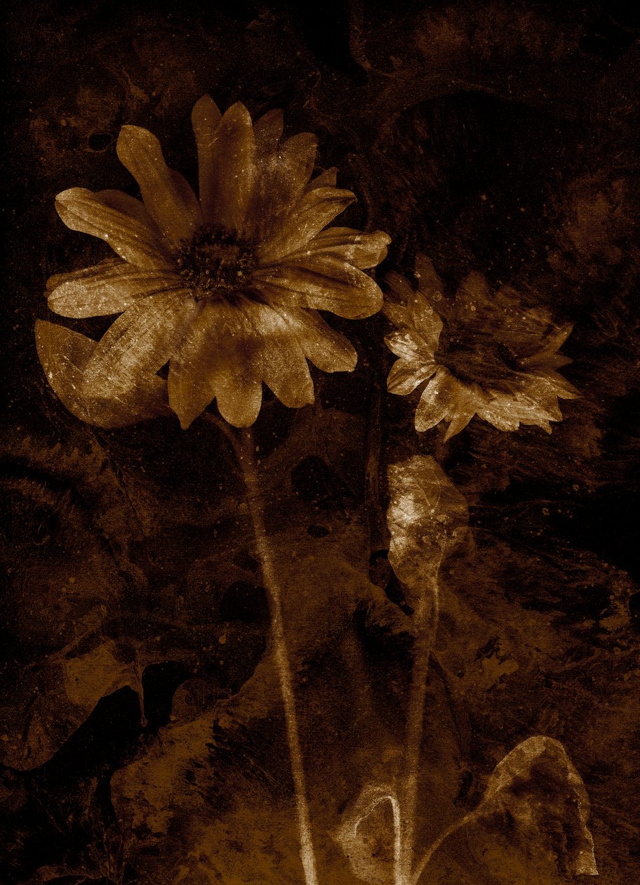  de Antonius Antonius