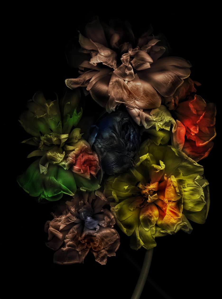  de Antonius Antonius